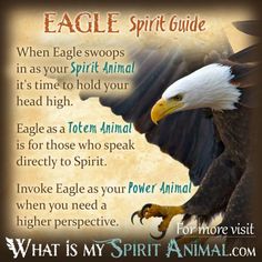 an eagle with the words eagle spirit guide