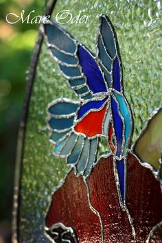 a stained glass window with an image of a bird on it's back side