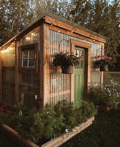 a garden shed with potted plants and lights