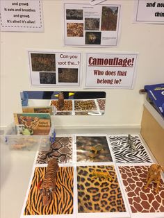 there are many different animal prints on display