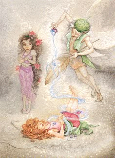 two fairy - themed children's books are shown in this illustration