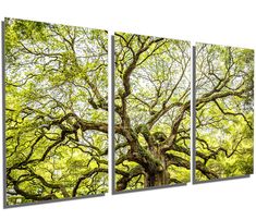 three panels of trees with green leaves on them, in the middle of a white wall