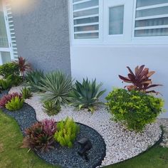 this is an image of a front yard with plants and rocks in the garden area