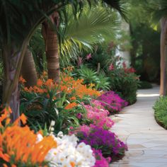 colorful flowers line the walkway between two palm trees