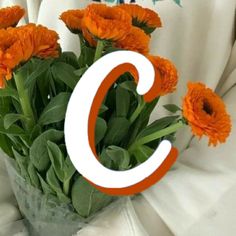 the letter c is surrounded by orange flowers