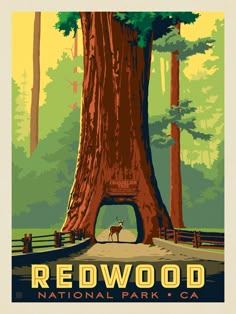 the redwood national park poster is shown