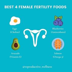 the best female fertiity foods for women and how to use them in their diets