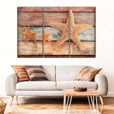 three starfishs mounted on wood in a living room