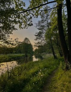 a path that is next to some trees and grass on the side of a river