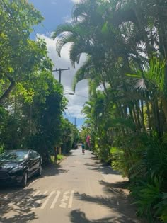 a person riding a bike down a street next to palm trees and parked cars on the side of the road