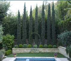 an outdoor pool surrounded by trees and bushes in a backyard area with grass, shrubs, and potted plants on either side of the pool