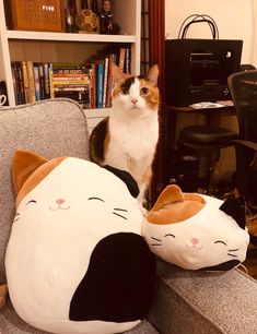 a cat sitting on top of a couch next to two stuffed animals in front of a bookshelf