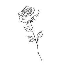 Thick Rose Tattoo, Simple Line Rose Tattoo, Fineline Woman Tattoo, Rose Tattoo Line Art, Fineline Rose Tattoo Design, Small Rose Drawing, Rose Simple Tattoo, Single Rose Drawing