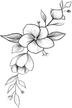 a drawing of flowers with leaves on the bottom and one flower at the top, in black and white