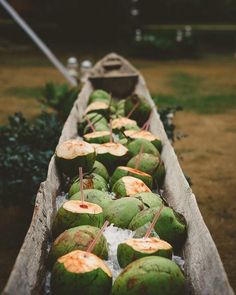 coconuts are lined up in an old boat