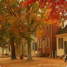 a person sitting on a bench in front of a tree with fall leaves around it