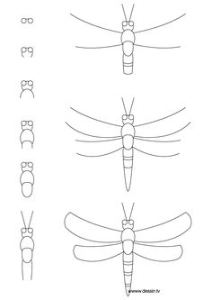 the different types of insects that can be seen in this drawing lesson, which shows how to