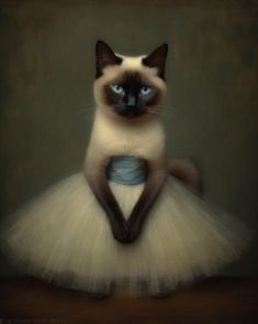 a siamese cat wearing a white tutu and blue eyes