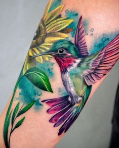 a colorful hummingbird tattoo on the arm