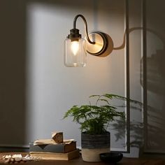 a light that is on the side of a wall next to a potted plant