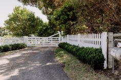 a white picket fence and gate in front of a dirt road with trees on both sides