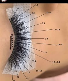 Whispy Lashes Extensions, Lashes Extensions Map, Whispy Lashes Extensions Map, Lash Mapping, Lash Boxes, Lash Quotes, Lashes Extensions, Lash Extensions Styles