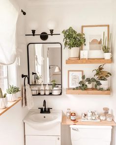 a bathroom with white walls and plants on the shelves above the toilet, sink and mirror