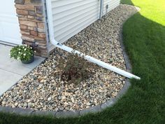 a small plant is growing out of the corner of a house's front yard