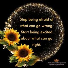 two sunflowers with the words stop being afraid of what can go wrong start being excited about what can go right