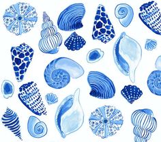 blue and white seashells are shown on a white background