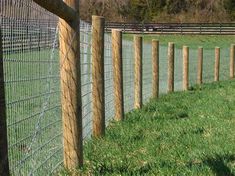 a row of wooden posts next to a fence in the grass near a grassy field