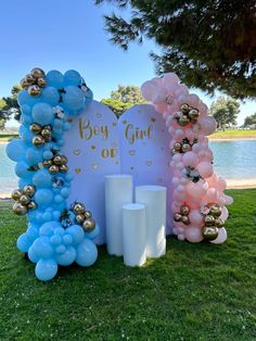 Revelacion de sexo / niña o niño #itsagirl  #genderrevealparty #genderreveal #ideas #balloondecoration #balloons #backdrop Balloons Backdrop, Birthday Party Photography, Girl Gender Reveal, Baby Shawer, Baby Announcements, Kindergarten Crafts, Reveal Ideas