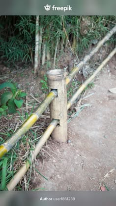 a bamboo fence with yellow posts and grass in the foreground, on a dirt path