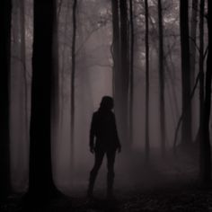 a person standing in the middle of a forest on a foggy day with trees