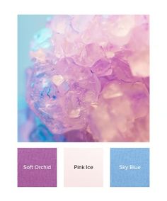 the color scheme for pink ice is blue and purple