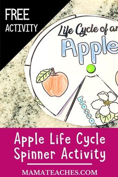 an apple life cycle spinner activity for kids