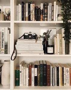 a book shelf filled with lots of books next to a potted plant and camera