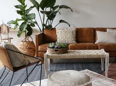 a living room filled with furniture and plants