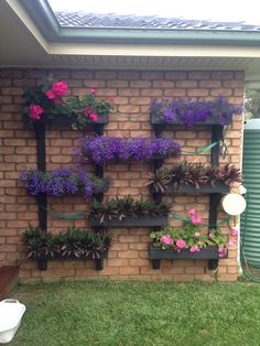 a brick wall with flowers growing on it