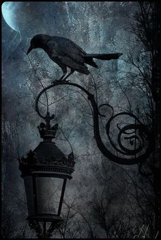 a black and white photo of a bird on a lamp post with the moon in the background