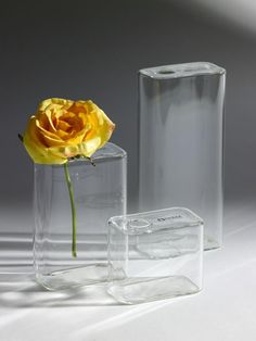 two clear vases with a single yellow rose in them