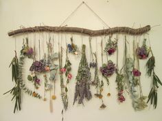 a bunch of flowers are hanging on a wall with some branches attached to the wall