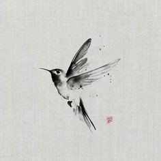 a black and white drawing of a hummingbird