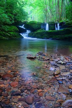 a small waterfall in the middle of a forest filled with rocks and green mossy trees