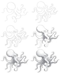 four different types of octopus drawings