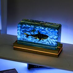 an illuminated box with a shark on it