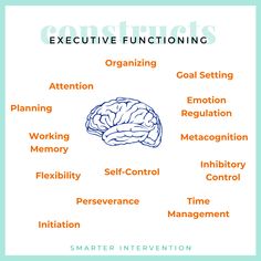 a poster with the words executive functions and their corresponding roles in it's structure