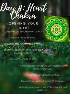 Chakra Smoothies, Chakra Unblocking, Chakra Workshop, Chakra Knowledge, Chakra Balancing Essential Oils, Heal My Heart, Chakra For Beginners, Chakra Healing Meditation, The Heart Chakra