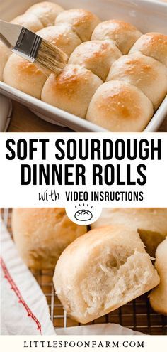 soft sourdough dinner rolls with video instructions on the bottom and in the middle