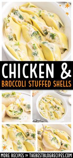 chicken and broccoli stuffed shells in a white casserole dish with text overlay